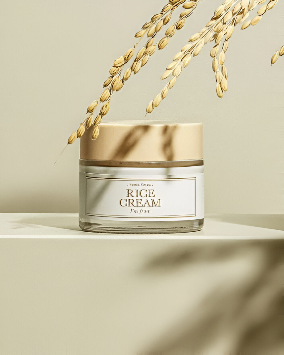 I am From- Rice Cream